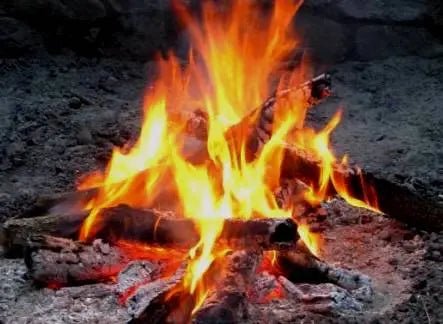 Pyrobarre (Firestick) - Gaignard Millon